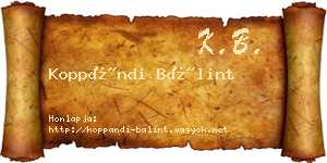 Koppándi Bálint névjegykártya