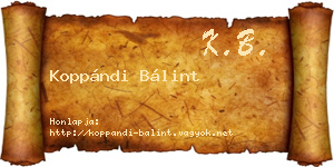 Koppándi Bálint névjegykártya